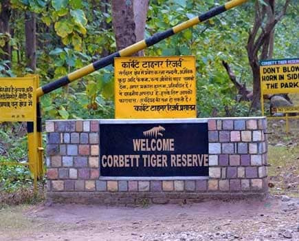 Biographycorbett