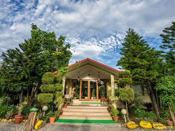 aura resort