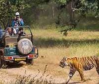 corbett best time visit