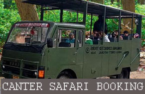 dhikala canter safari
