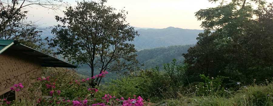 corbett flora