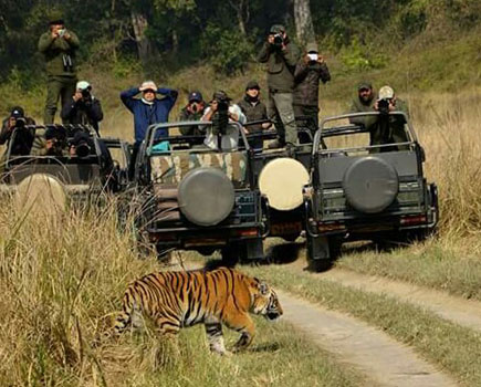 corbett jeep safari