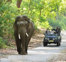 corbett tour