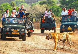 corbett nainital tour package