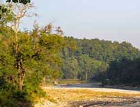 dhela safari