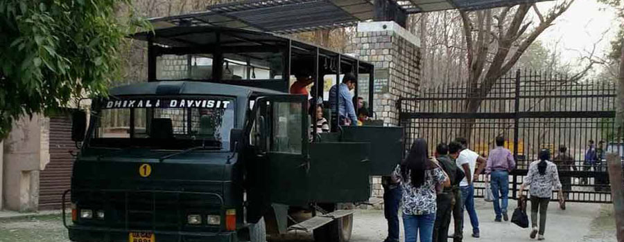 dhikala safari zone