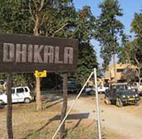 corbett dhikala zone