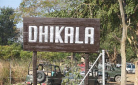 corbett dhikala lodge