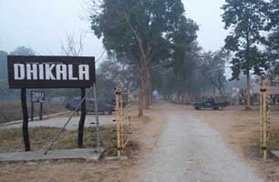 dhikala tour corbett