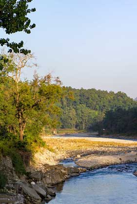 corbett safari