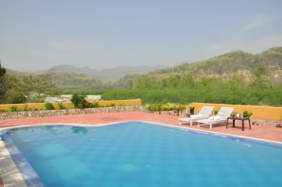 jungle treasure hotel