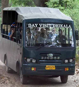 corbett canter safari