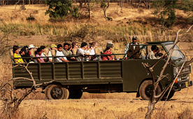 corbett canter safari