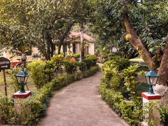 nadiya padao hotel