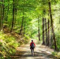 corbett nature walk