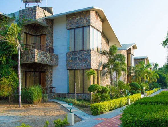 parfait the roar resort